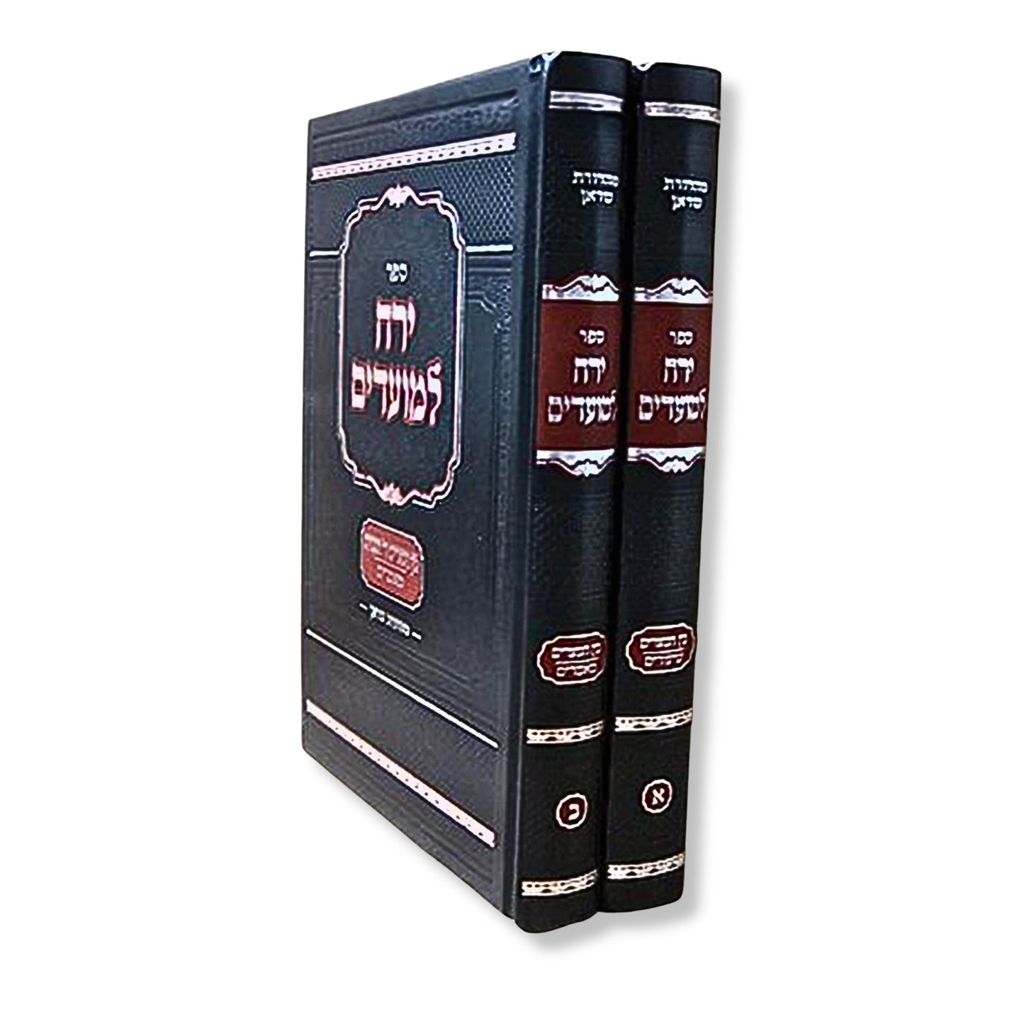 Yareiach LaMoadim: Bein HaMeitzarim & Daled Taaniyot (Rabbi Yerucham Olshin) / ירח למועדים: בין המצרים ודלד תעניות (הרב ירוחם אולשין)