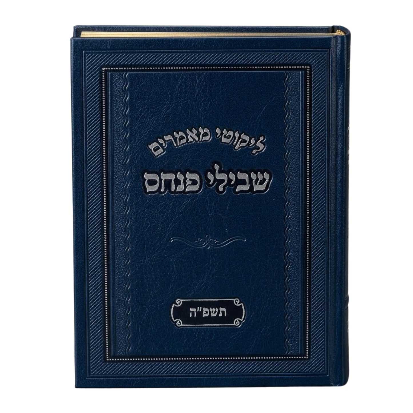 Likutei Maamarim: Shvilei Pinchas 5785 / ליקוטי מאמרים: שבילי פנחס תשפ"ה