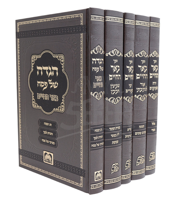 Be'er Hachaim Moadim - R' Elimelech Biderman 5 Volume Set / באר החיים
