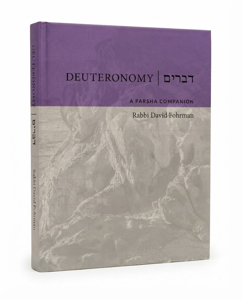 Deuteronomy: A Parsha Companion by Rabbi David Fohrman