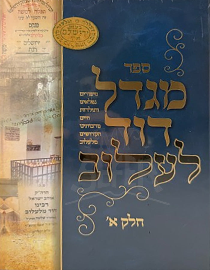 Migdal Dovid - Lelov 2 Volume Set / מגדל דוד לעלוב ב"כ