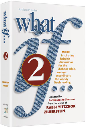 What If Volume 2 - Rabbi Yitzchok Zilberstein