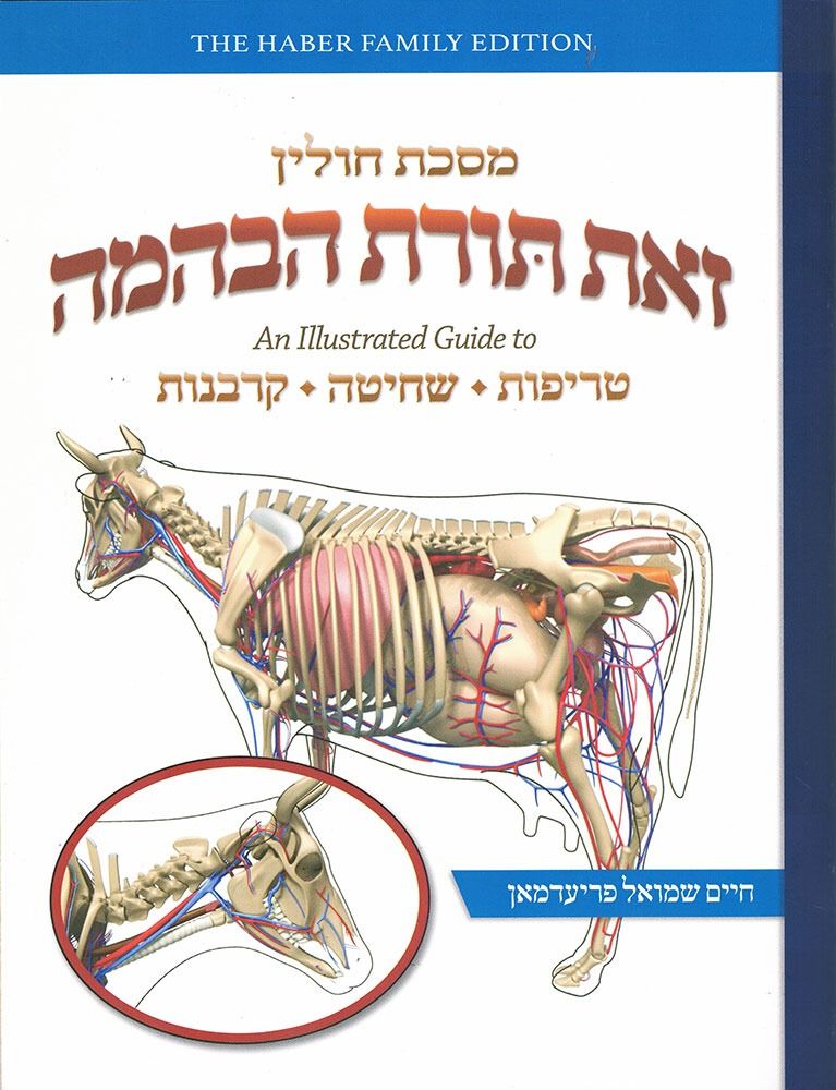 Zos Toras HeBehaima - Maseches Chullin: An Illustrated guide to Treifus, Shechita and Karbanos