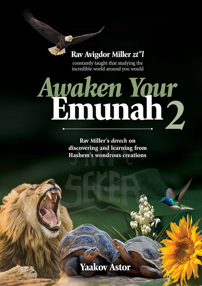 Awaken Your Emunah 2