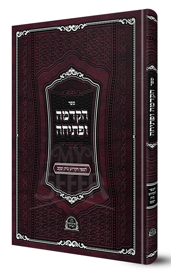 Had`Mayaah / הדמייה