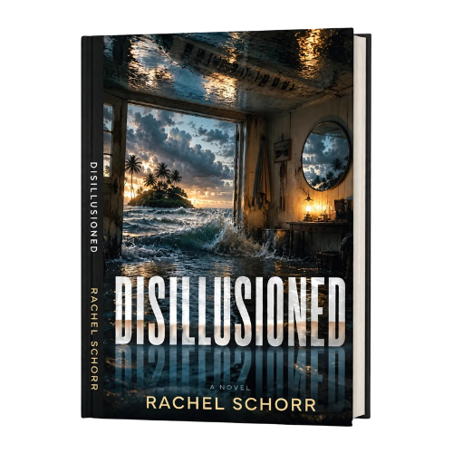 Disillusioned: A Novel