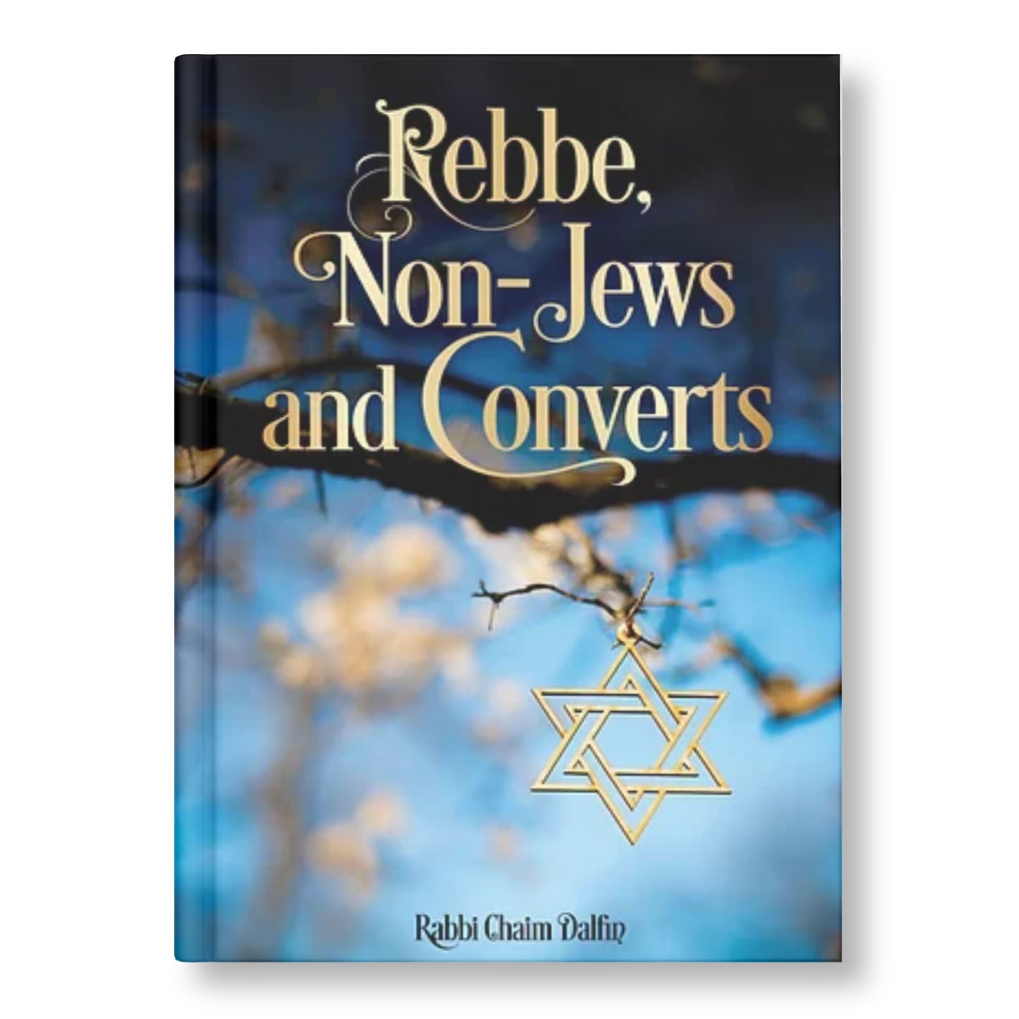 Rebbe, Non-Jews & Converts