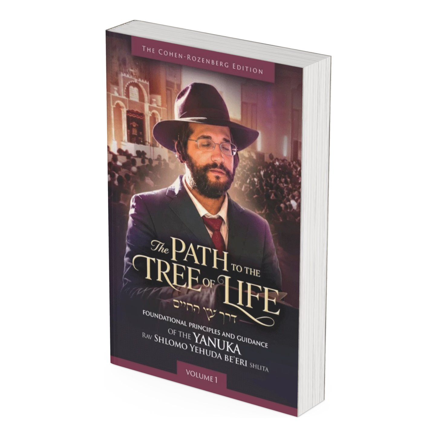 The Path to the Tree of Life: Foundational Principles and Guidance of the Yanuka Rav Shlomo Yehudah Be'eri shlita - Volume 1