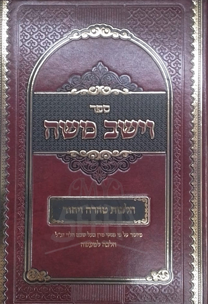 Sefer VeYashav Moshe / ספר וישב משה
