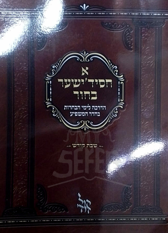 A Chasidisher Bechur - Shabbat Kodesh / א חסידישער בחור-שבת קודש