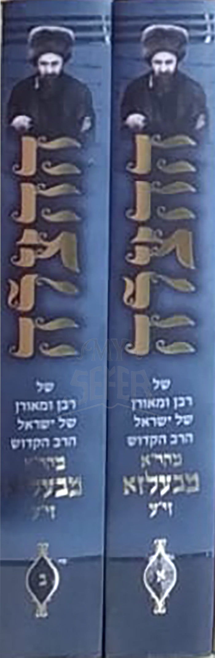 HaHatzalah 2 Volume Set Belz / ההצלה