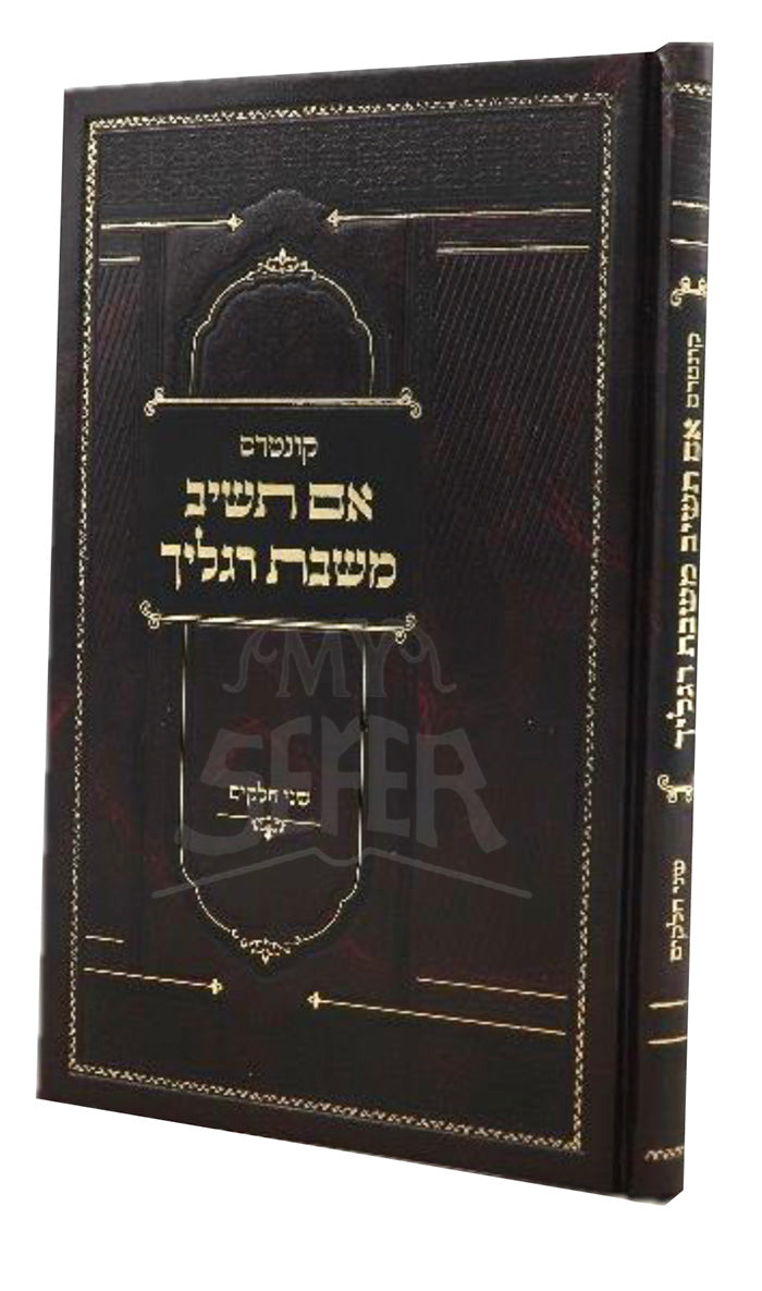 Im Tashiv Mishabbos Raglecha / אם תשיב משבת רגליך