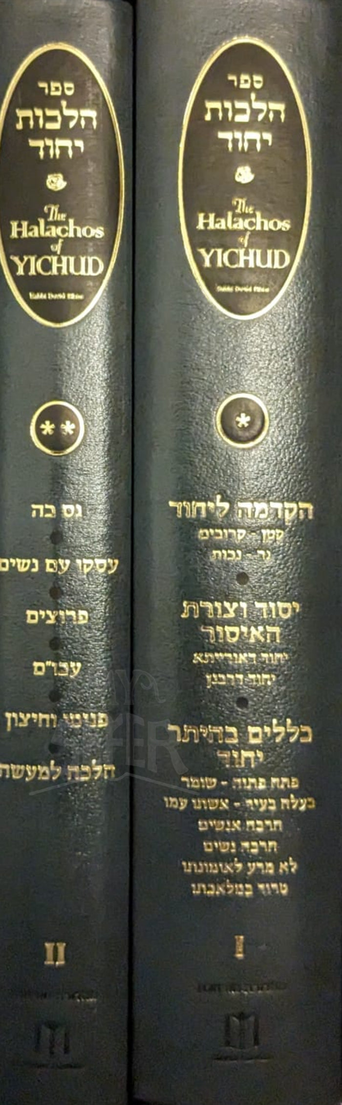 The Halachos of Yichud (2-Volume Set)