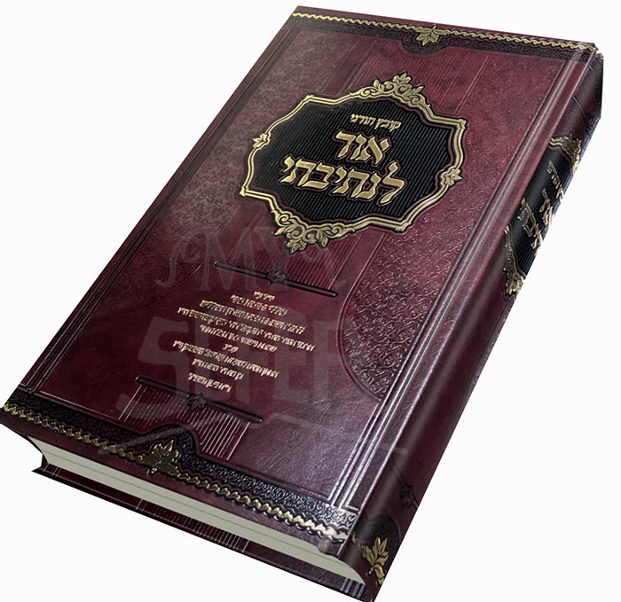 Ohr Lentivetei / אור לנתיבתי