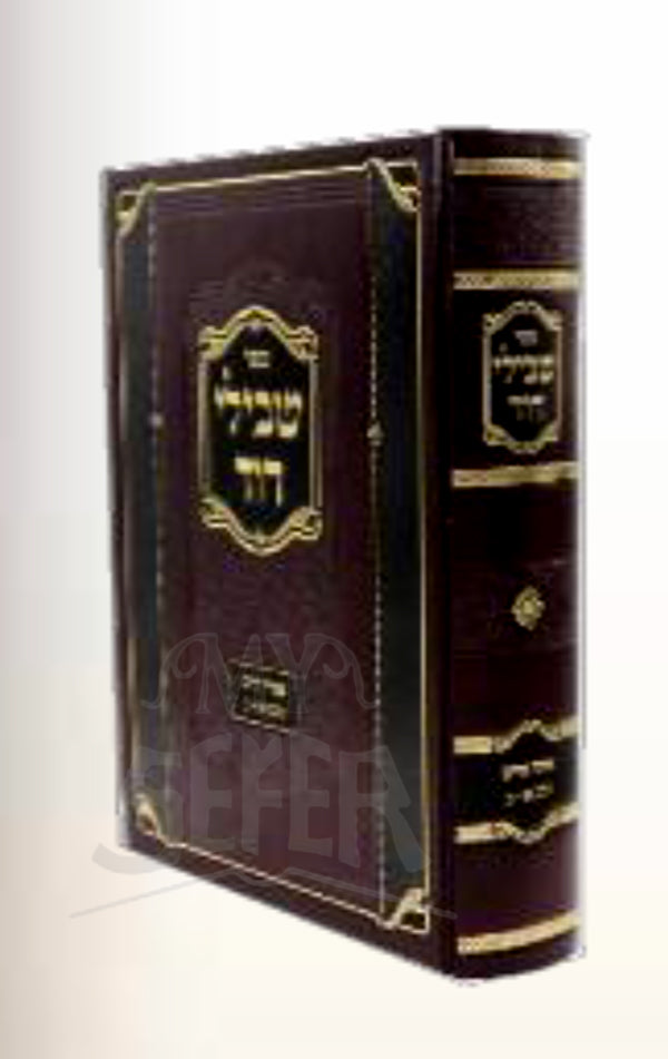 Sefer Tvilei Dovid / ספר טבילי דוד
