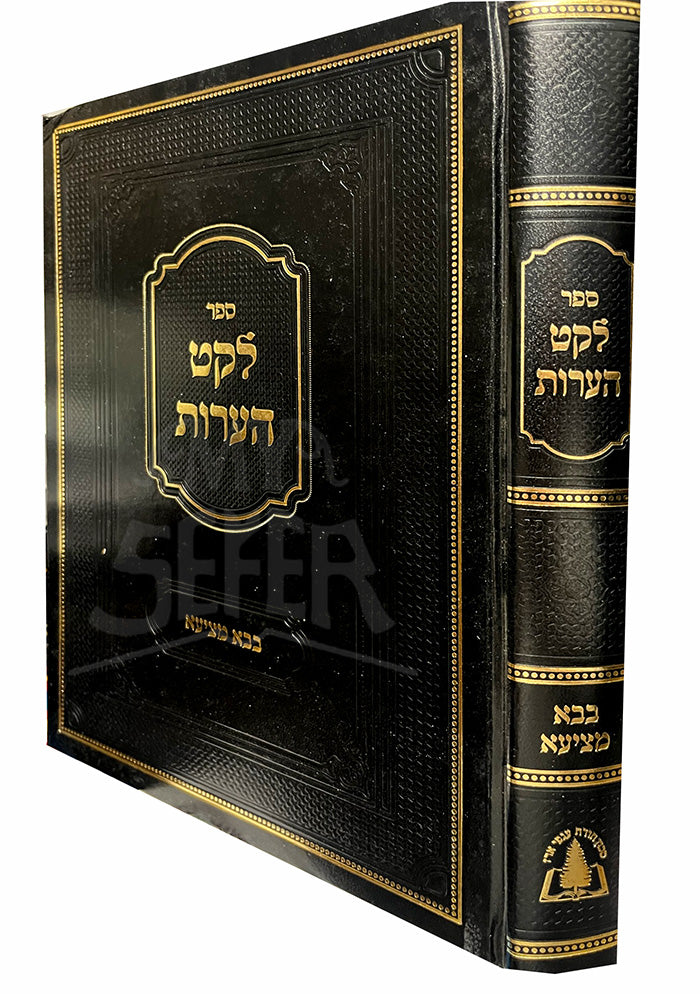 Sefer Leket Heoros Al Maseches Bava Metzia / ספר לקט הערות על מסכת בבא מציעא
