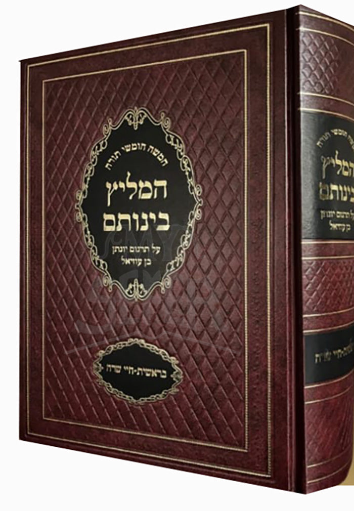 Hameilitz Beinosom / המליץ בינותם