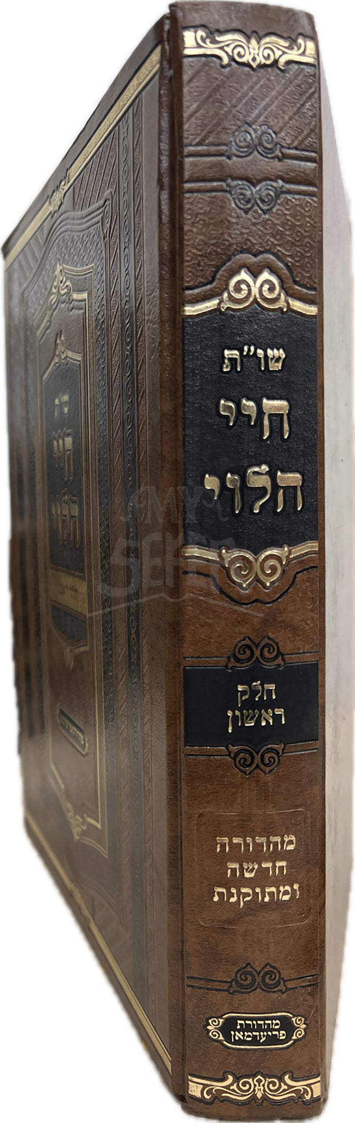 Shut Heichi HaLevi / שייות חיי הלבי