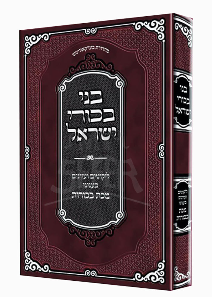 Bnei Bechorei Yisroel / בני בכורי ישראל