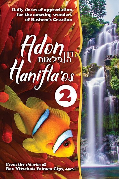 Adon Hanifla'os 2