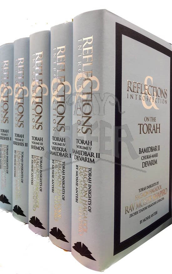 Reflection & Introspection - Torah (Rabbi Moshe Shapiro)
