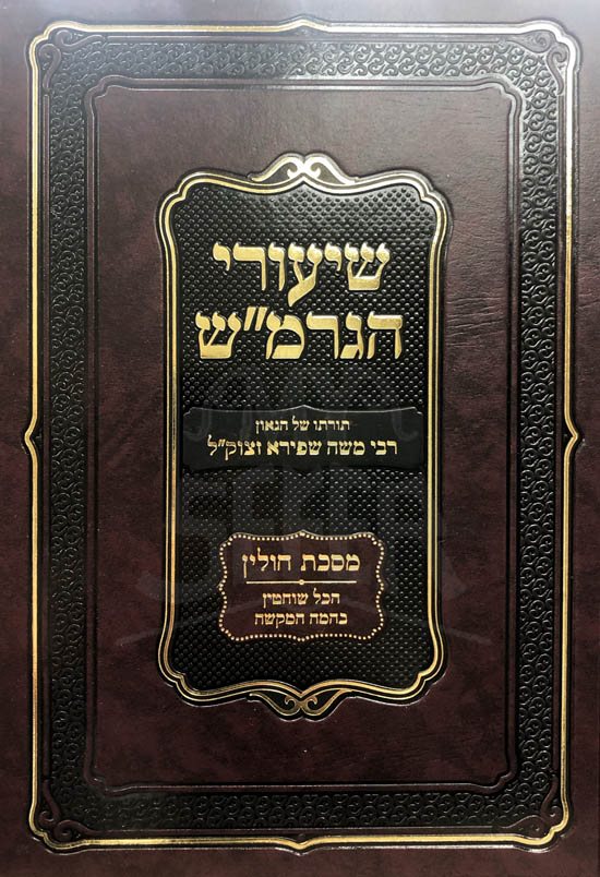 Shiurei HaGoan Rabbi Moshe Shapiro - Chiullin