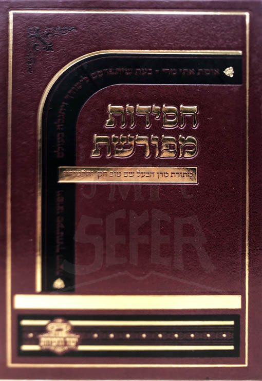Chasidut Mefureshet Bamidbar