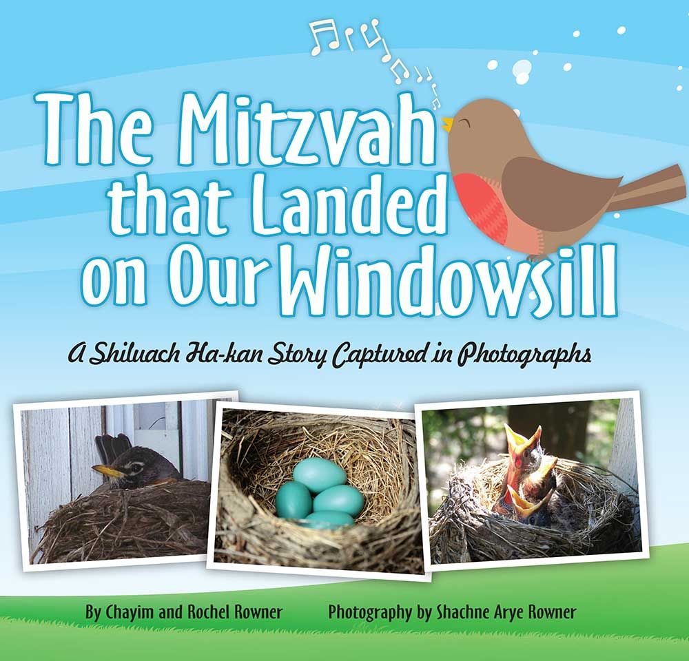 The Mitzvah That Landed On Our Windowsill: A Shiluach Hakan Story Captured in Photographs