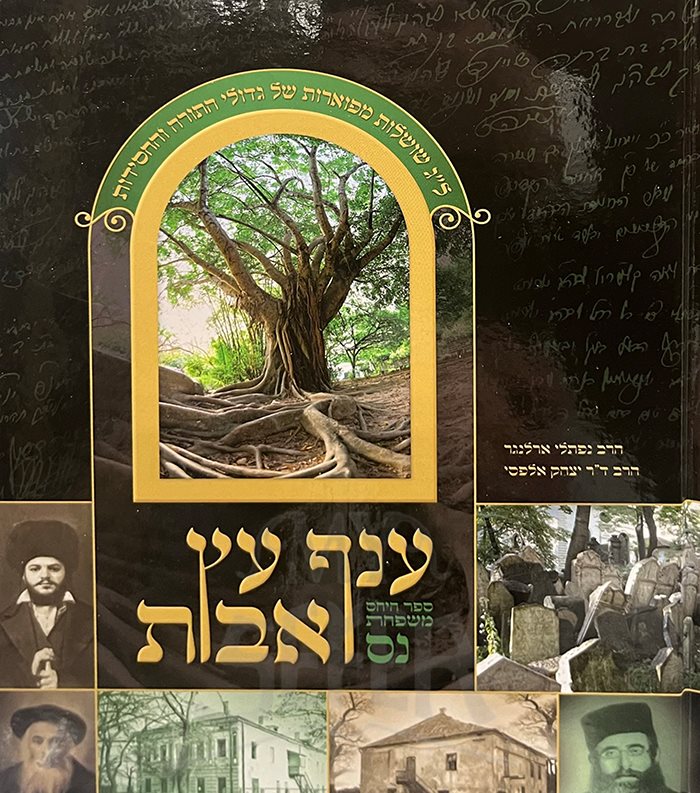 Anaf Etz Avot