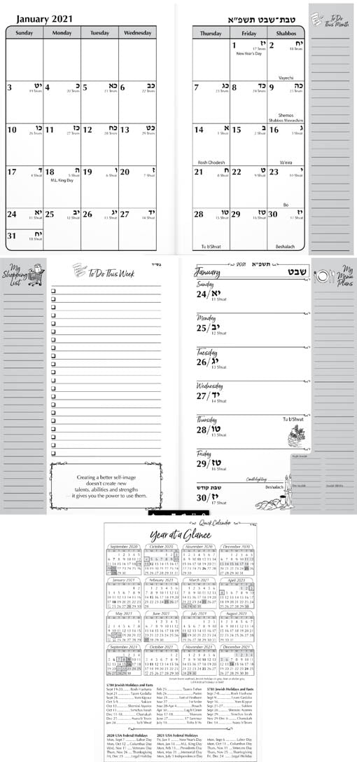 The Balabusta's Daily Organizer 20-21 - Desktop Edition