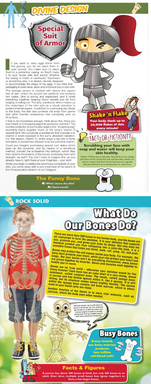 Exploring the Wonders of the Human Anatomy