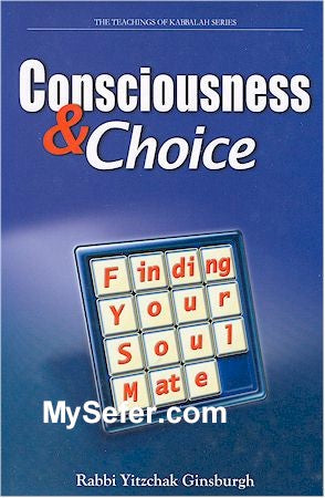 Rabbi Yitzchak Ginsburgh - Consciousness & Choice (Finding Your Soulmate)