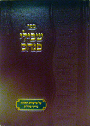Shvilei Pinchas : Bereshit / volume #2
