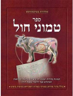 Sefer Temunei Chol (Hebrew Only): Chullin / ספר תמוני חול (בעברית בלבד): חולין