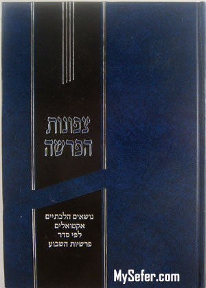 Tzfunot HaParsha