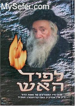 Lapid HaAish - the Klausenburger Rav (part 2)