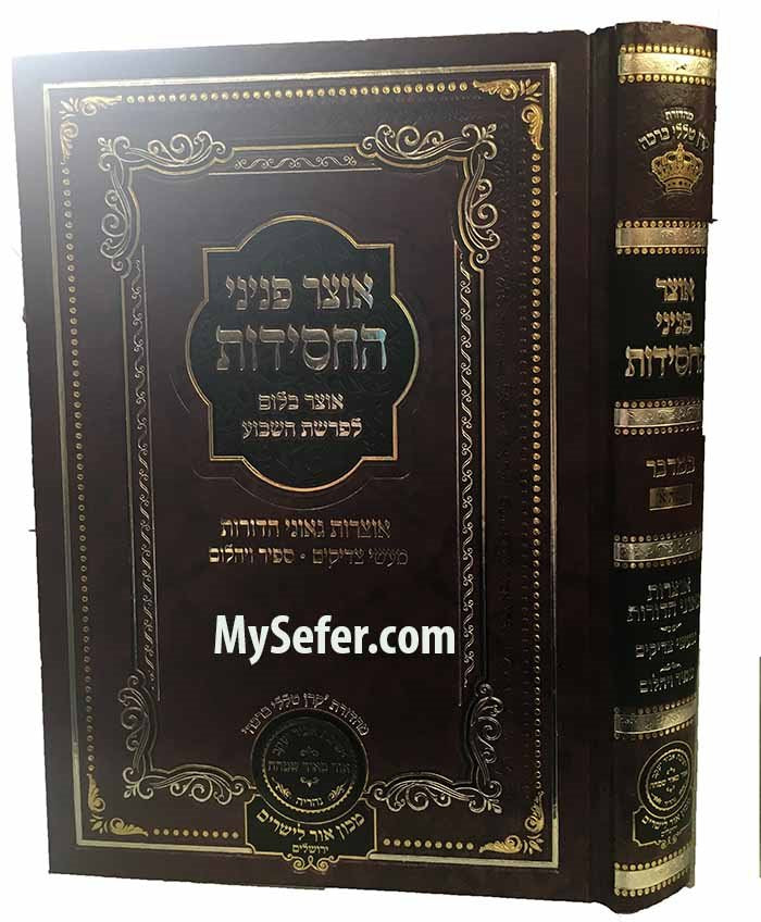 Otzar Peninei HaChasidus Bamidbar ( First Year )