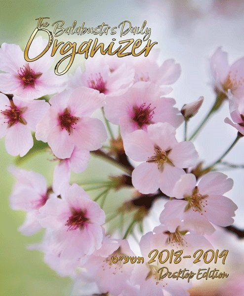 The Balabusta's Daily Organizer 18-19 - Desktop Edition