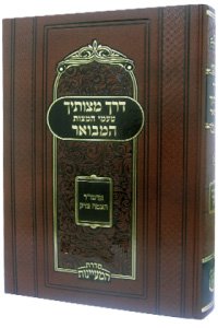 Derech Mitzvosecha HaMevoar Vol. 2 (HaMaayanos)