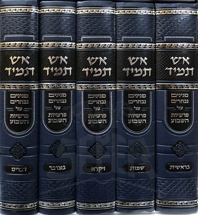 Esh Tamid al HaTorah Rabbi Israel Meir Druk