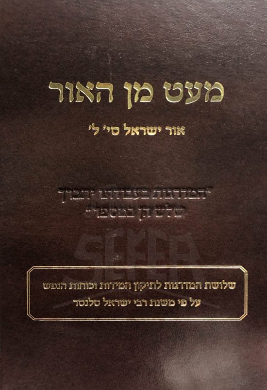 Miat Min Hazor - Rabbi Yisrael Salantet