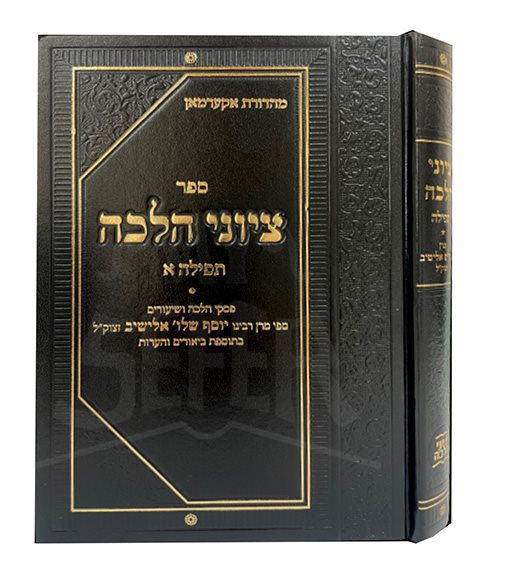 Tziyunei Halacha Al Tefillah Volume 1