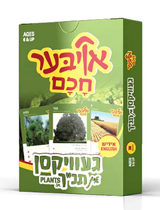 Ober Chuchem Plants
