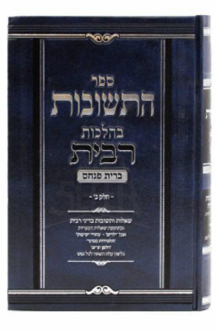 Sefer HaTeshuvot BeHilchot Ribbit - Brit Pinchas