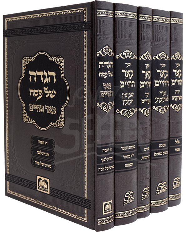 Be'er Hachaim Moadim - Harav Biderman (5 Volumes)