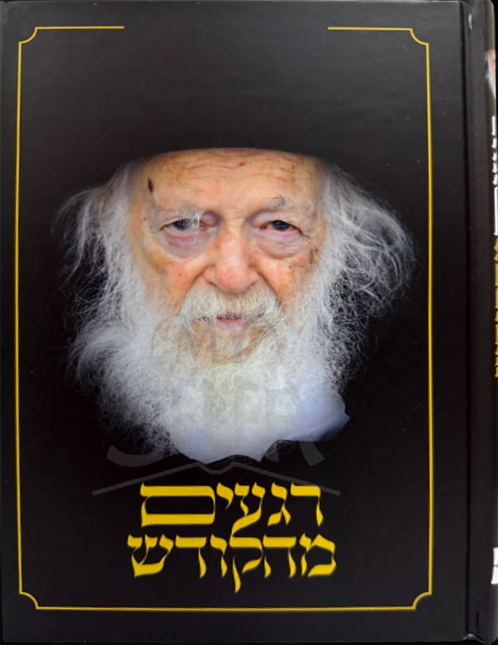 Regaim MeHakodesh / רגעים מהקודש - רבי חיים קניבסקי