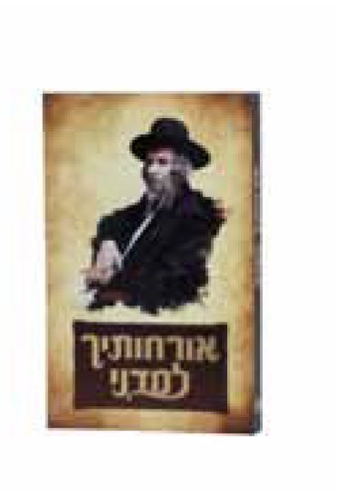 Orchosecha Lamdeini Al HaRav Shteinmann