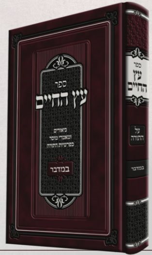 Etz Chaim Bamidbar - Rabbi Chaim Mintz