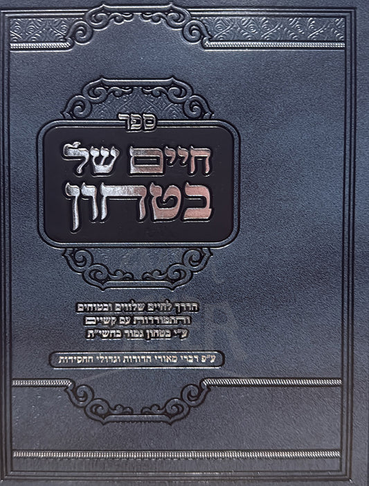 Chaim Shel Bitachon / חיים של בטחון