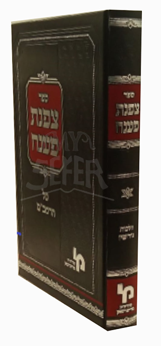 Tzofnat Paneach / צפנת פענח